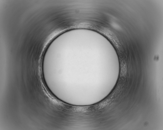 X0000094911086200712201151