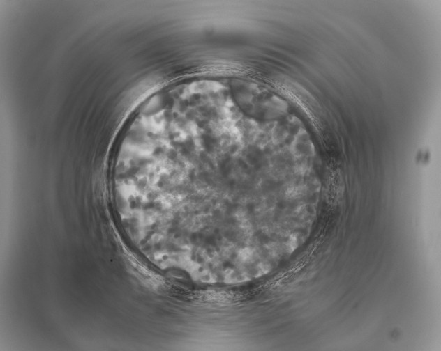 X0000094911087200712201151