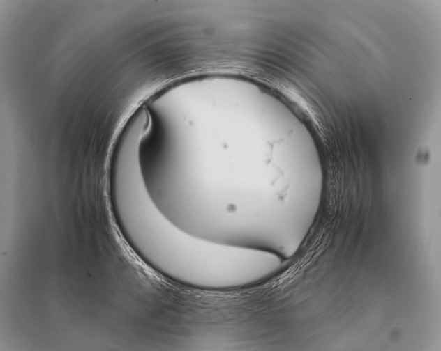 X0000094911088200712201151