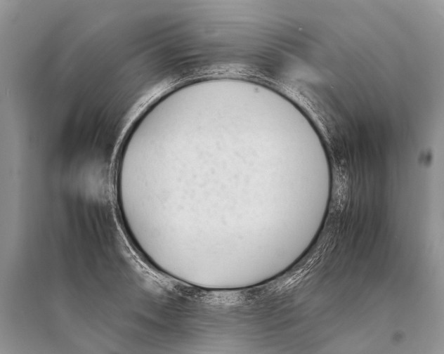 X0000094911090200712201151