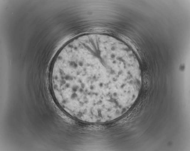 X0000094911091200712201151