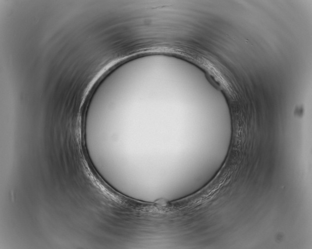 X0000094911092200712201151