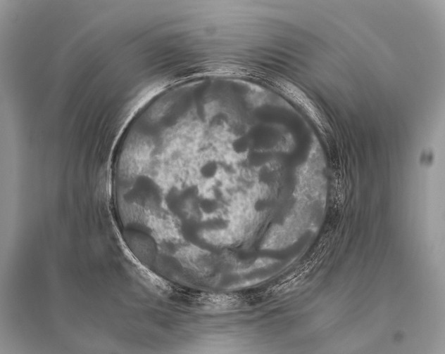 X0000094911095200712201151