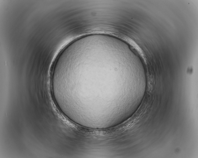 X0000094911096200712201151