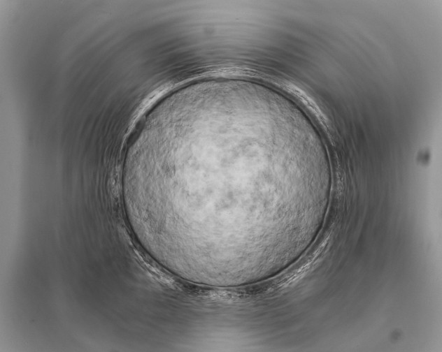 X0000094911097200712201151