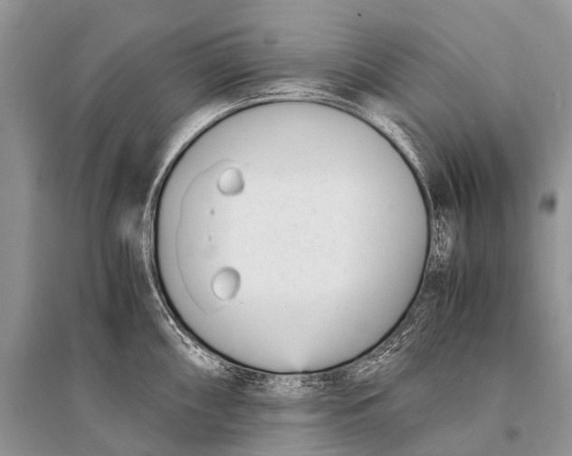 X0000094911098200712201151