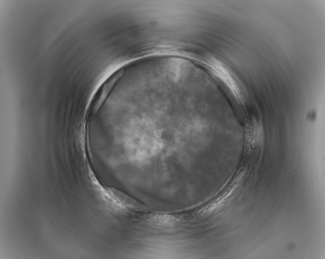 X0000094911100200712201151