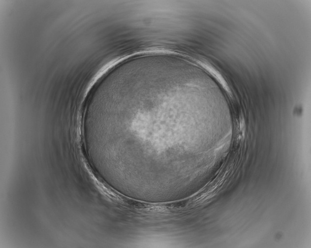 X0000094911101200712201151