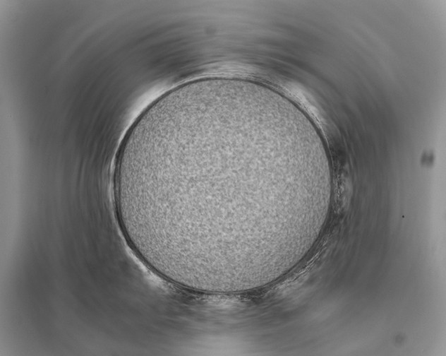 X0000094911103200712201151