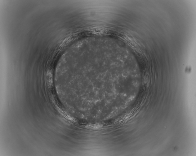 X0000094911106200712201150