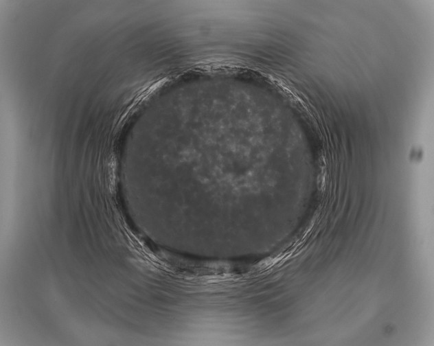 X0000094911108200712201151