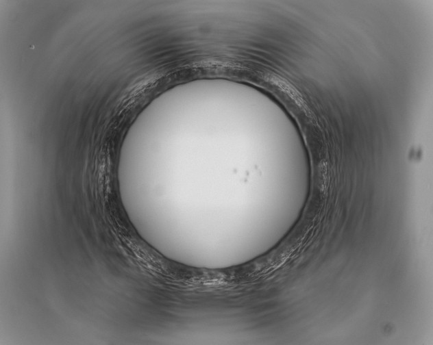 X0000094911111200712201151