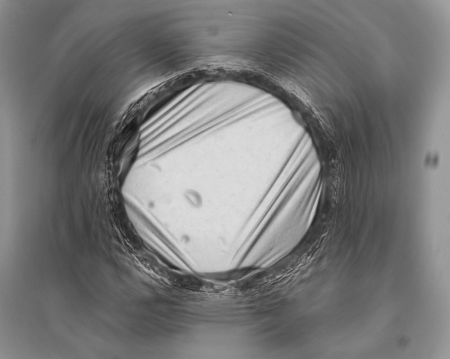 X0000094911112200712201151