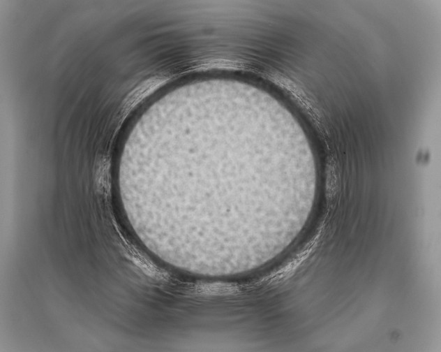 X0000094911113200712201151