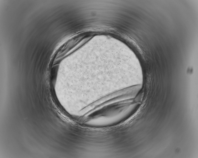 X0000094911114200712201151