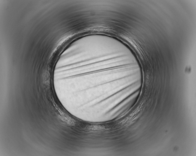 X0000094911115200712201151