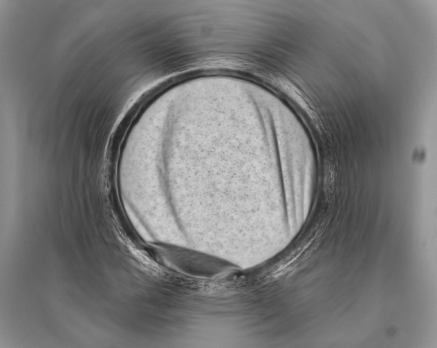 X0000094911116200712201151
