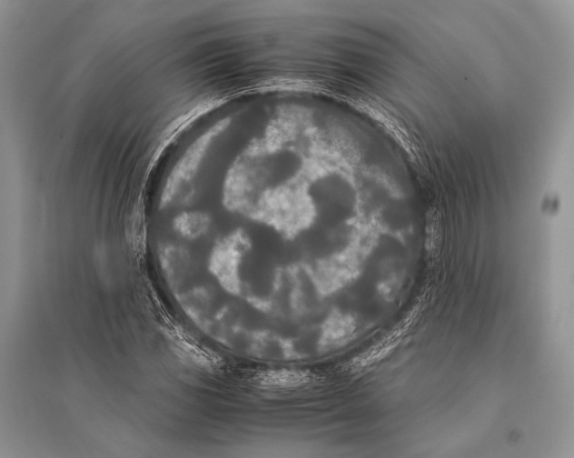 X0000094911117200712201151