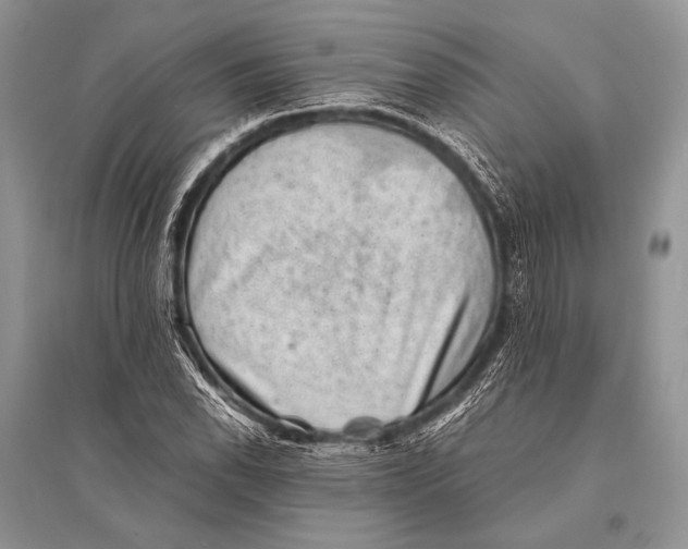 X0000094911118200712201151