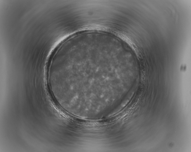 X0000094911120200712201151