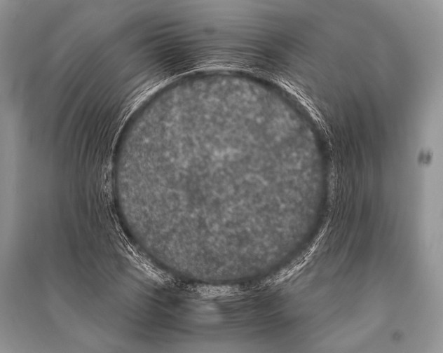 X0000094911121200712201151
