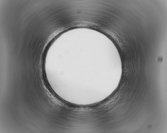 X0000094911122200712201151