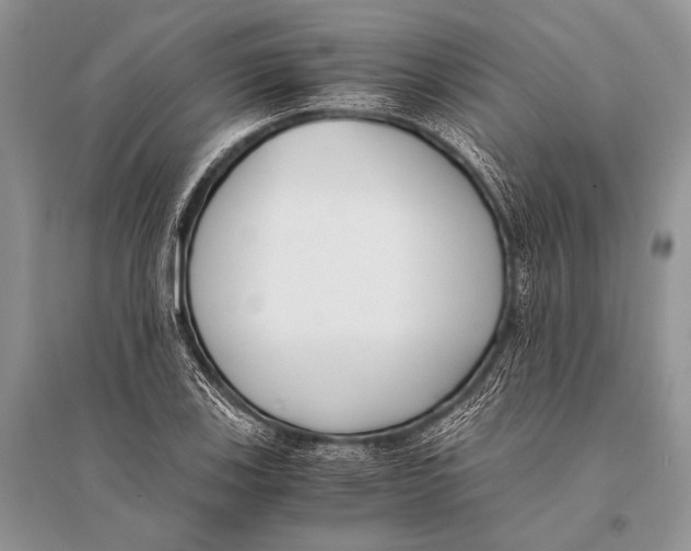X0000094911123200712201151
