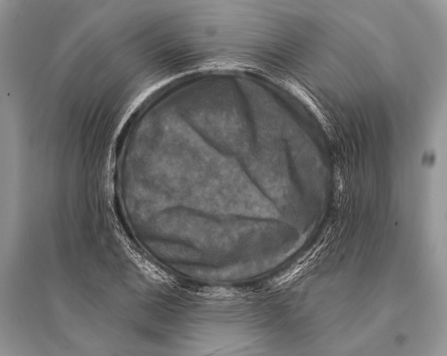 X0000094911124200712201151