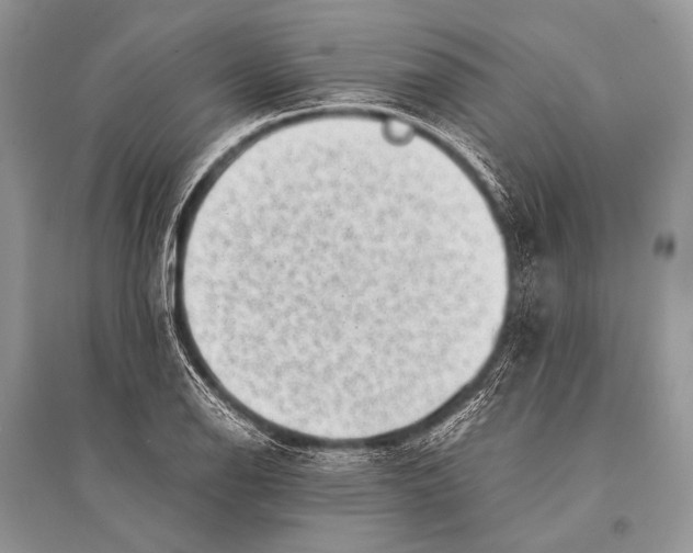 X0000094911126200712201151