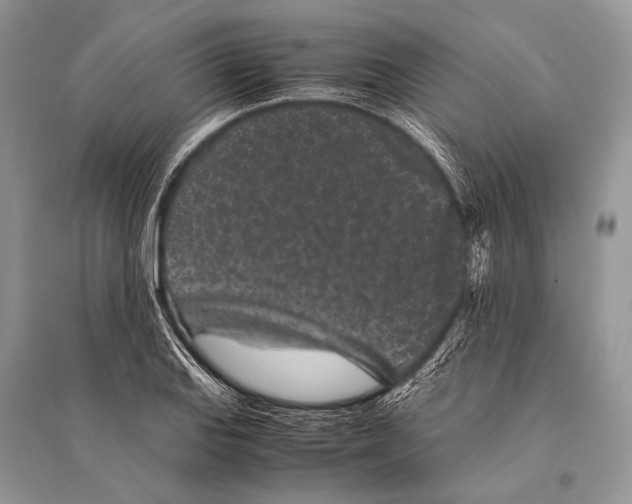 X0000094911127200712201151