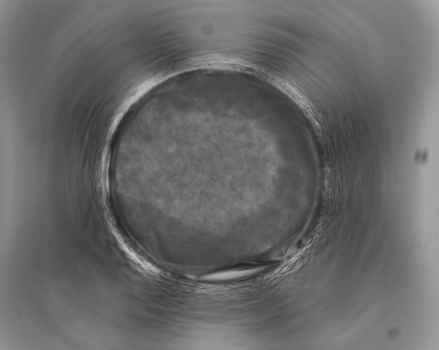 X0000094911128200712201151