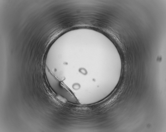 X0000094911129200712201151