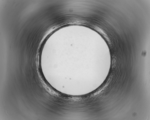 X0000094911130200712201151