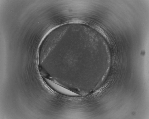 X0000094911132200712201151