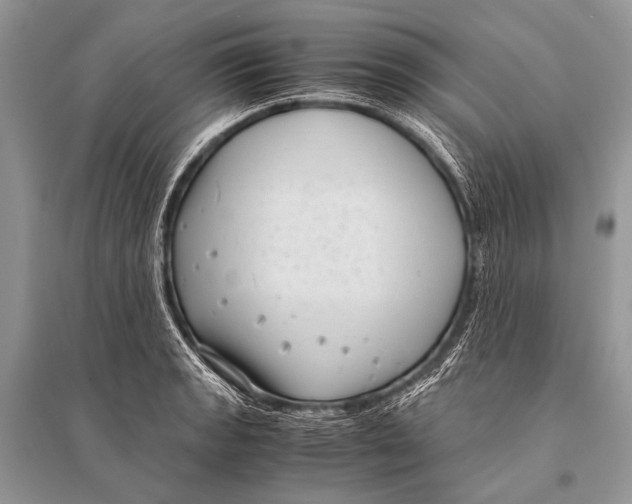 X0000094911133200712201151