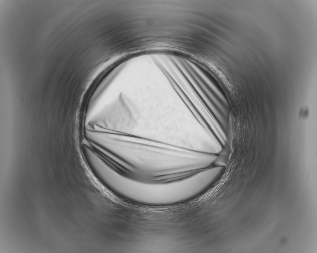 X0000094911134200712201151