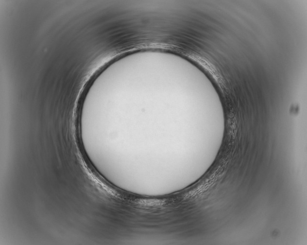 X0000094911135200712201151