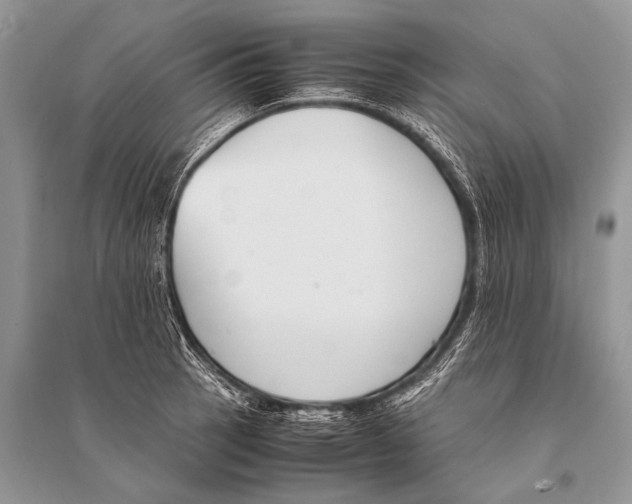 X0000094911137200712201151