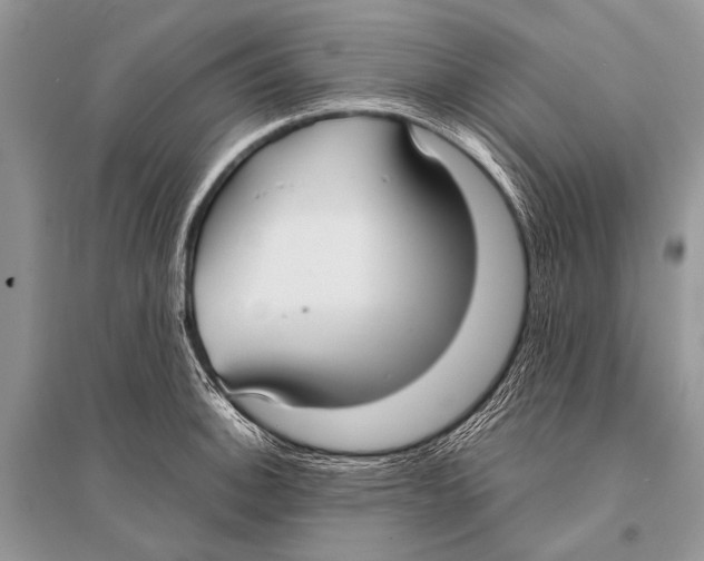X0000094911140200712201151