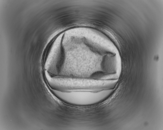 X0000094911141200712201151