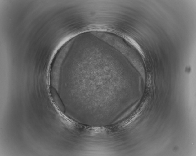X0000094911144200712201151