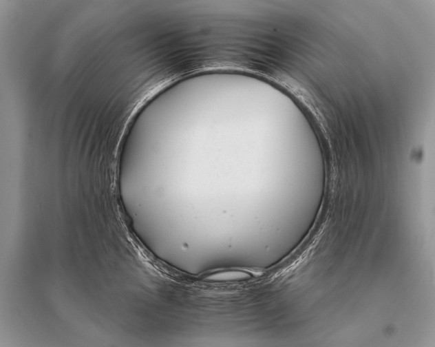 X0000094911145200712201151