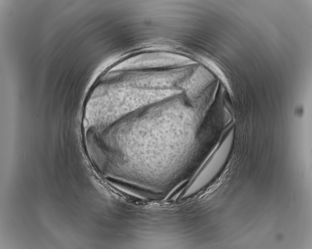 X0000094911146200712201151