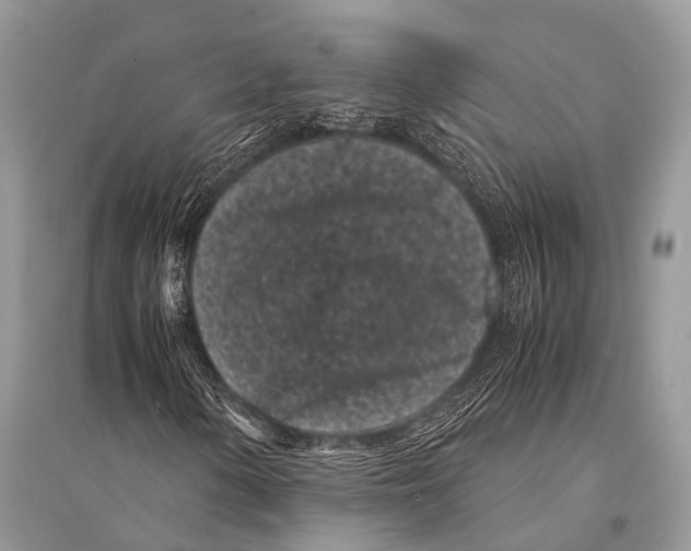X0000094911154200712201150