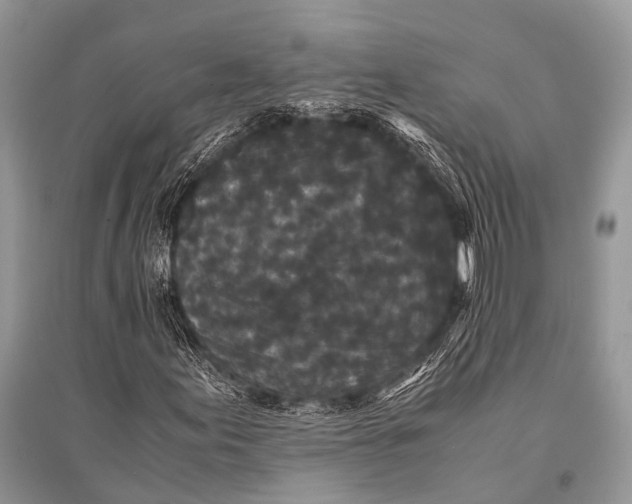 X0000094911155200712201150