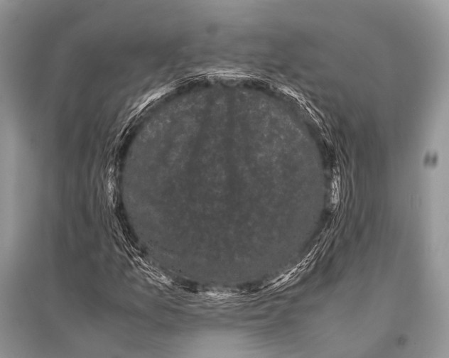 X0000094911157200712201150