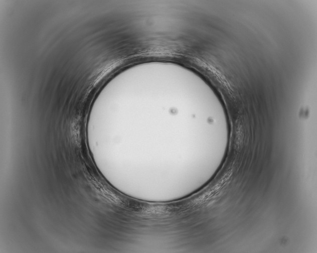 X0000094911162200712201150
