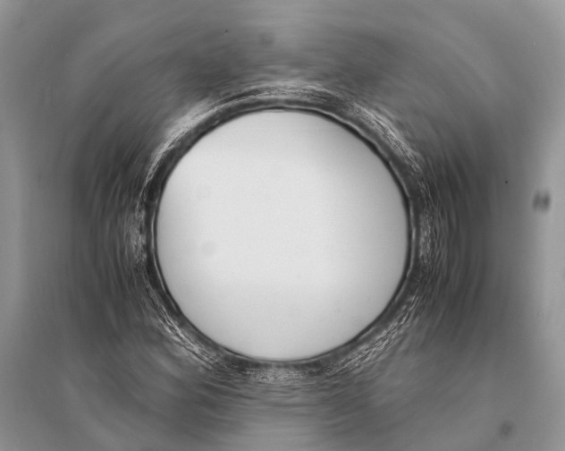 X0000094911164200712201150