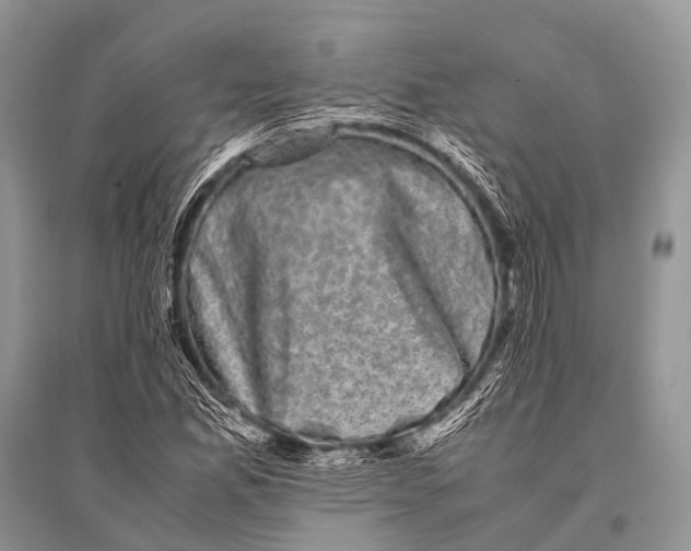 X0000094911165200712201150