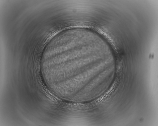 X0000094911169200712201150